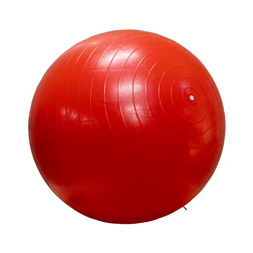 Bola de Pilates 55cm | Fit Ball para Treino Funcional